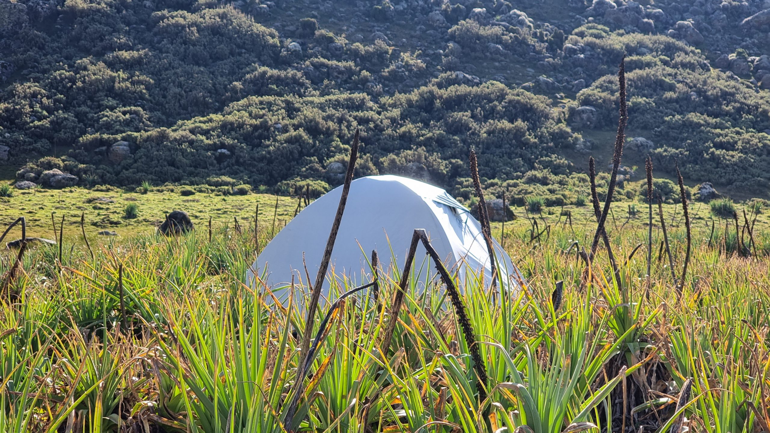 Tourism Investment Opportunity: Permanent Tented Camp Development
