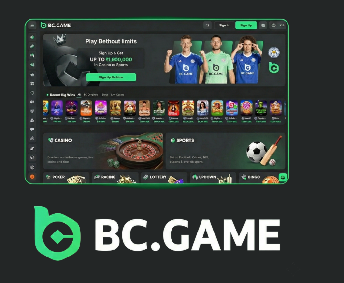 Exploring the BC.Game Gambling Platform A New Era of Online Gaming Exploring the BC.Game Gambling Platform A New Era of Online Gaming