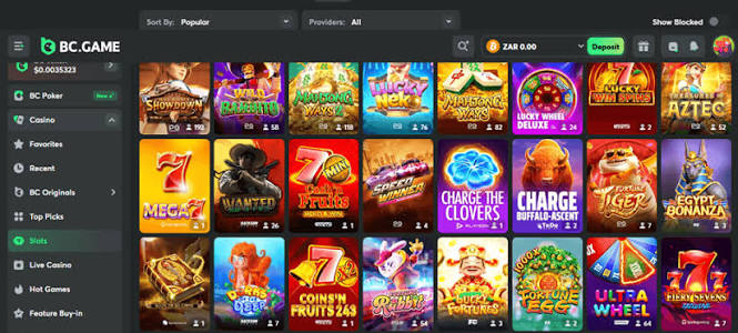 Your BC.Game Hub A Complete Platform for Gamers